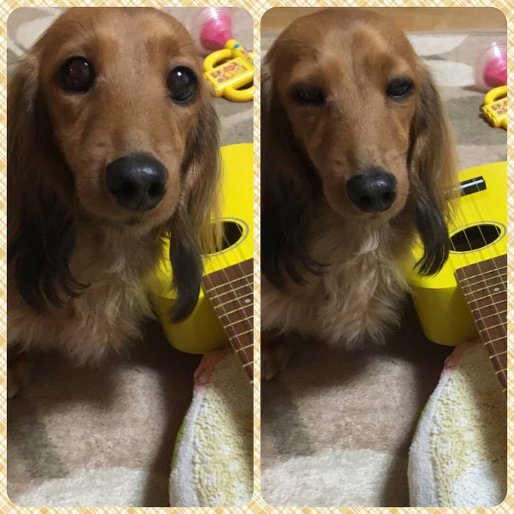 8af41050 4d45 4c5b 989d 945cfebb89e7