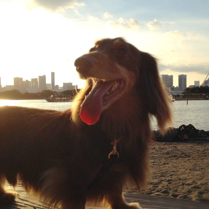 8af4148f c57c 404d 8529 61c6145f91c6