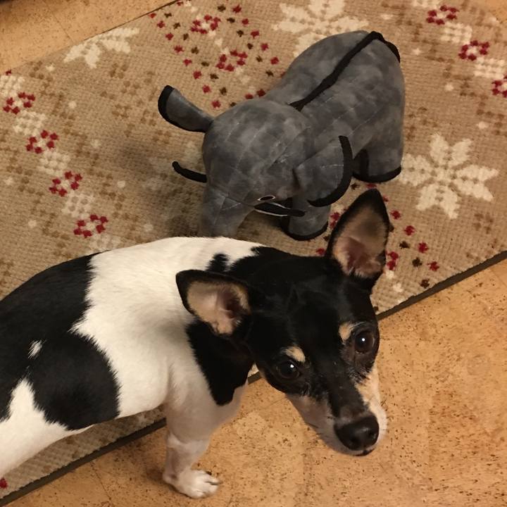 8af42549 ee2c 4199 8d8f 5523bf19b36b