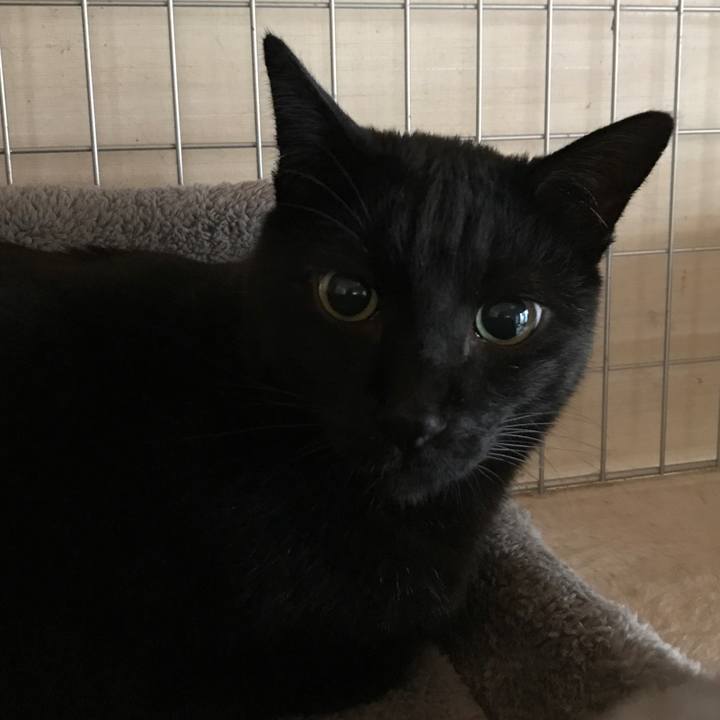 8af4617f cf41 48ba ab13 9ba92337a0dc