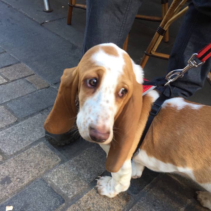 8af477a7 aac2 48fa bf00 da0497fab7e7