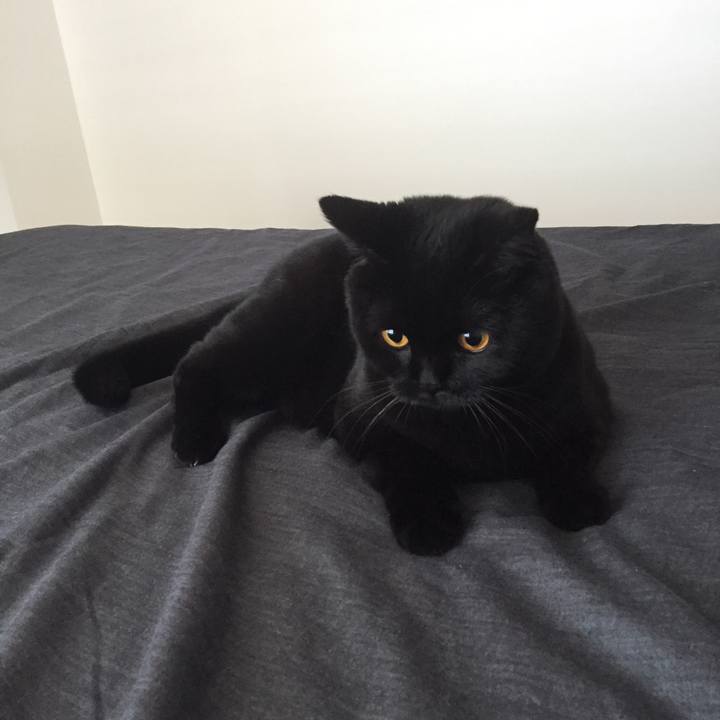 8af4d590 1abe 4e66 afd8 852a6701f8e1