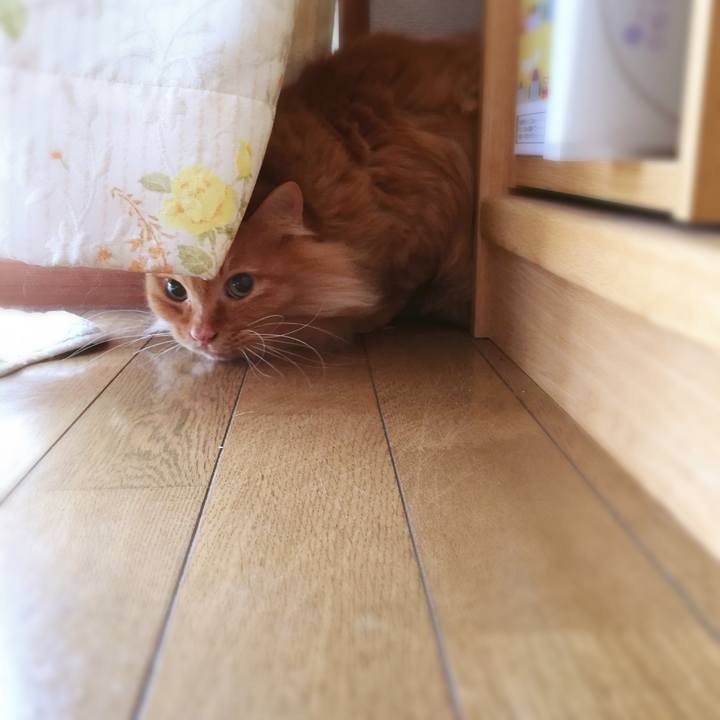 8af4f928 2295 44b0 9bc3 86049266ccb6