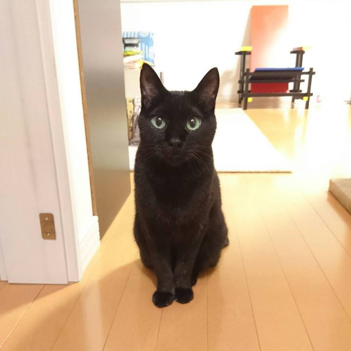 8af5bc01 e3c2 4013 bf80 913bd34c1470