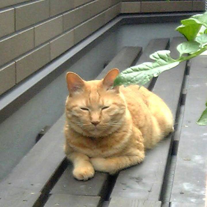 8af7212c 2884 4aab 8f4d bcc29178b004