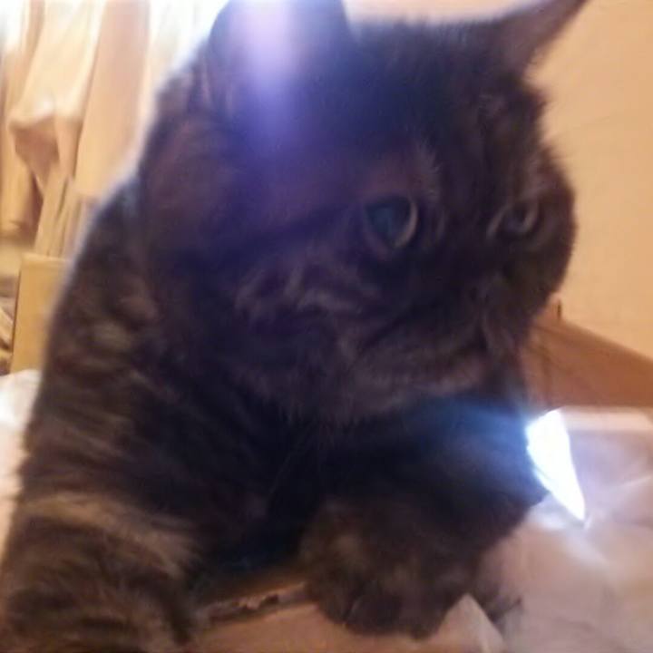 8af74f05 71c2 4f83 b3b5 6e4736b571de