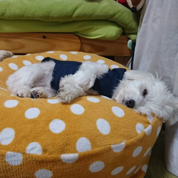 8af784a5 a79b 48af aef1 cc7ad5e6cbf4