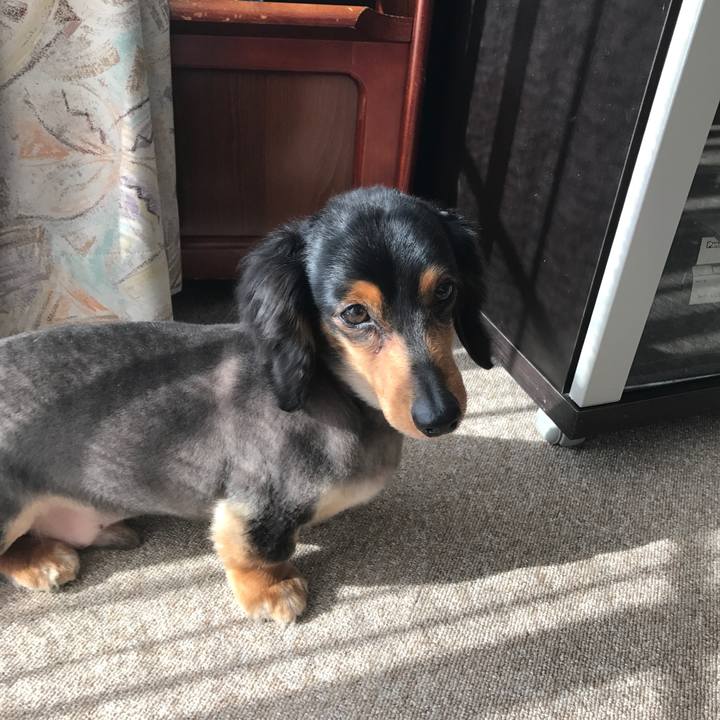 8af949f0 20b6 4b29 a40a d049d404339e