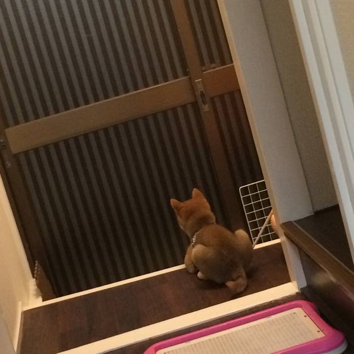 8af95e9e 6999 4fd8 8b14 bde5db3d08eb