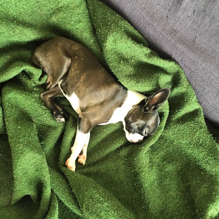 8af9836b cc95 4326 af2f 93efa6cc5ea4