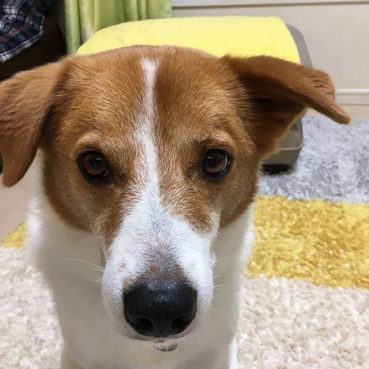 8af9e8c8 cf1c 452c 88af 63b3364ec29c