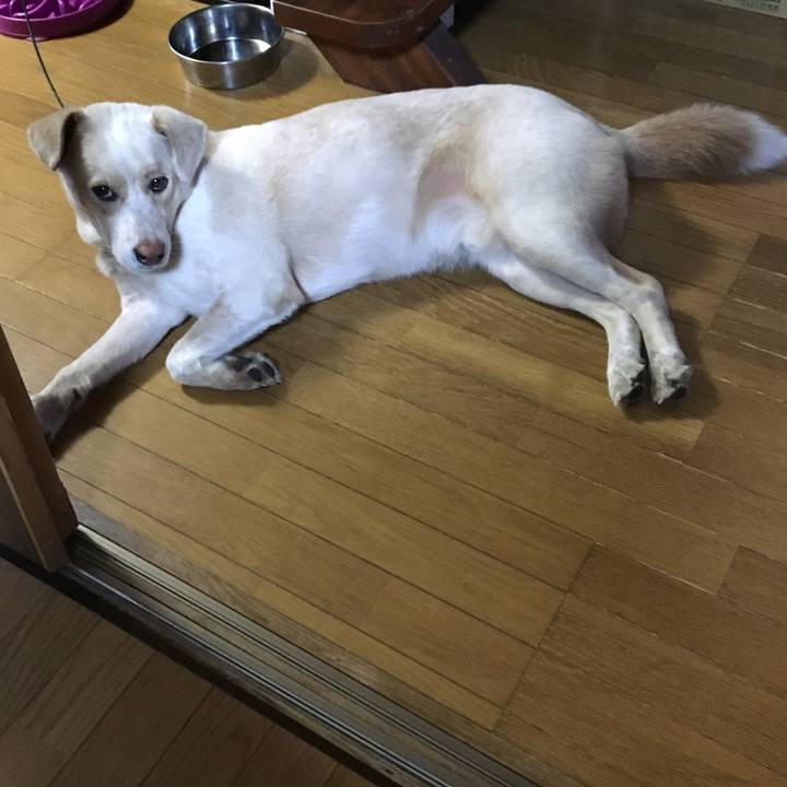 8af9ead2 c262 48df 9445 567e6957396c