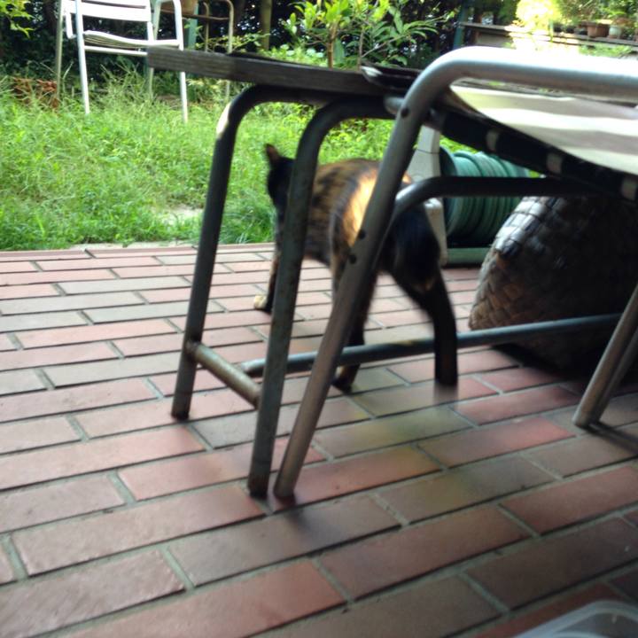 8afa941b 1cfe 4c8e 8739 aa110996c299