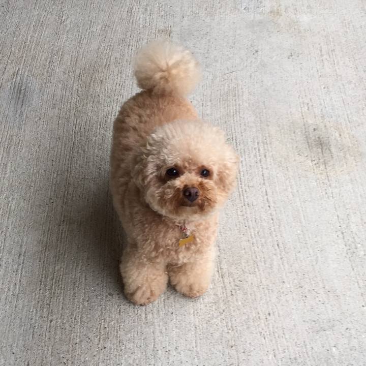 8afb0780 32e2 45e5 8ae2 59de1aad3f4b