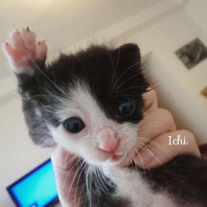 8afb1542 0738 4cc1 bf18 0060fe17c982