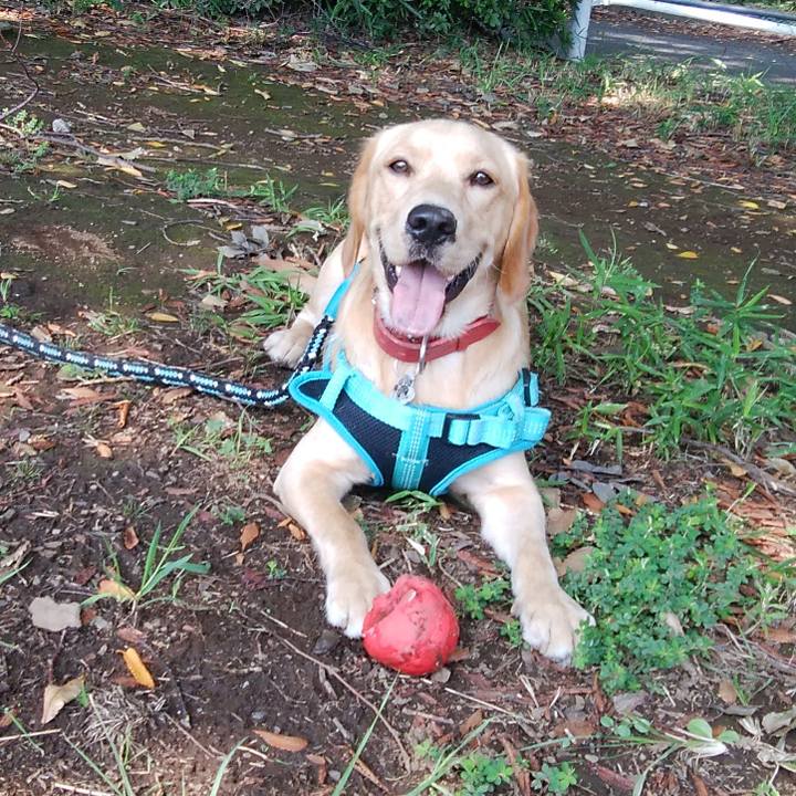 8afd8e77 5c62 49fb 8a44 1152449208c6