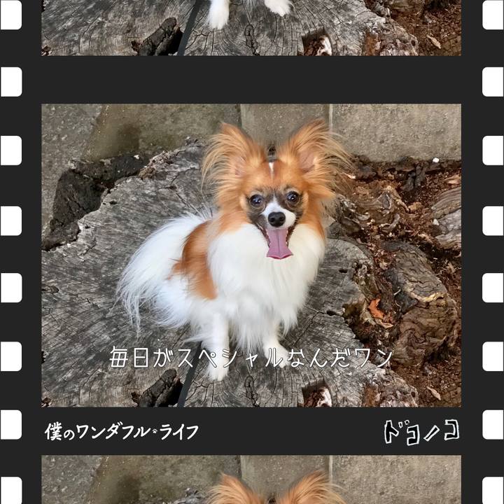 8afd9b7f 14f7 47b4 8e4a e60c535bb0ca