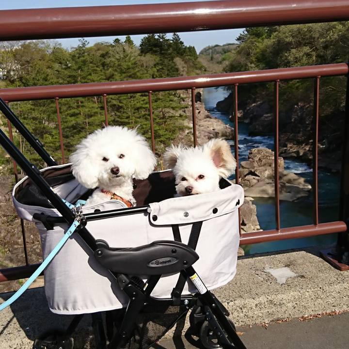 8afe1ef6 b6b5 4194 846b 91806098b733