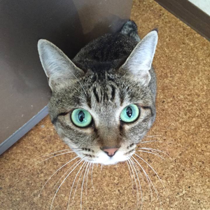 8afef7da 4ee8 4344 9fb8 3d246bd35838