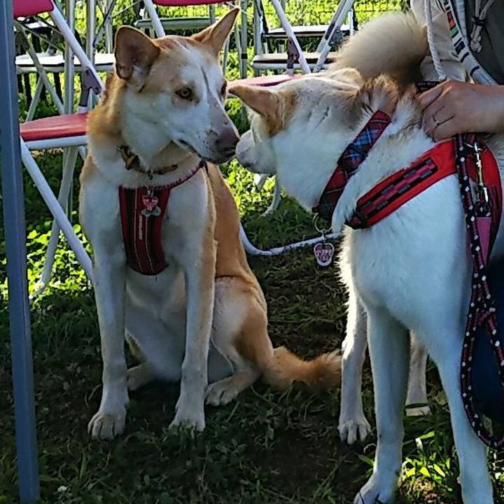 8aff66ef 157c 463a bef2 92b99f64a571