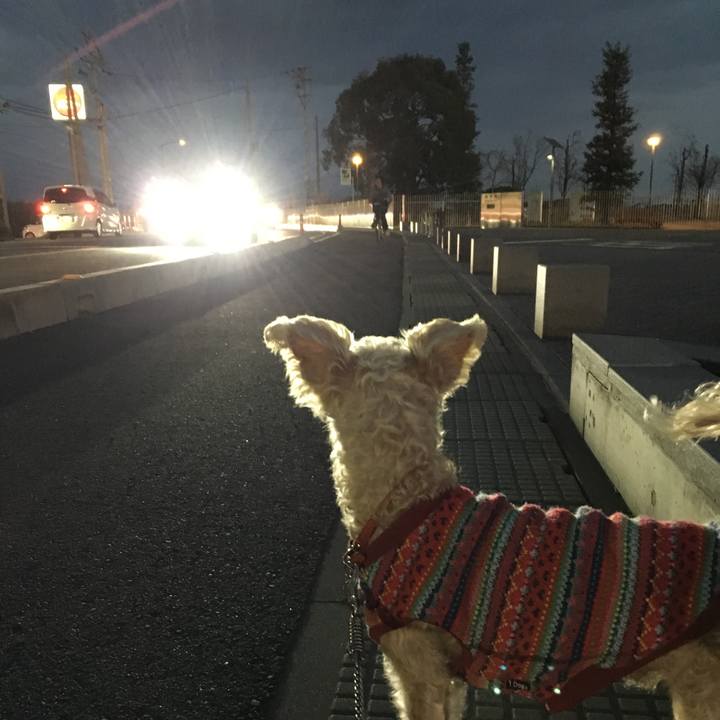 8aff7db3 2fa4 4960 afe5 dcebfe173f78