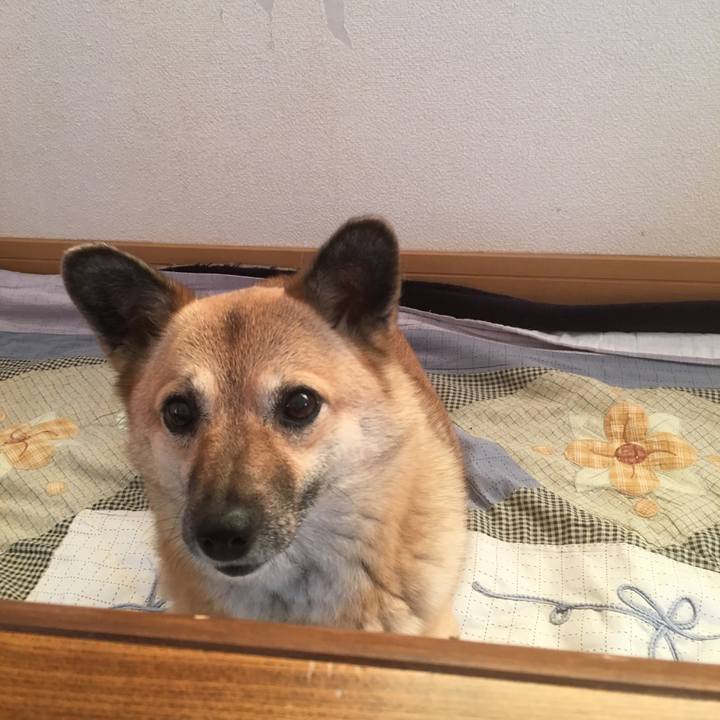 8b018703 ab5e 4adc 8580 aaff389b07d3