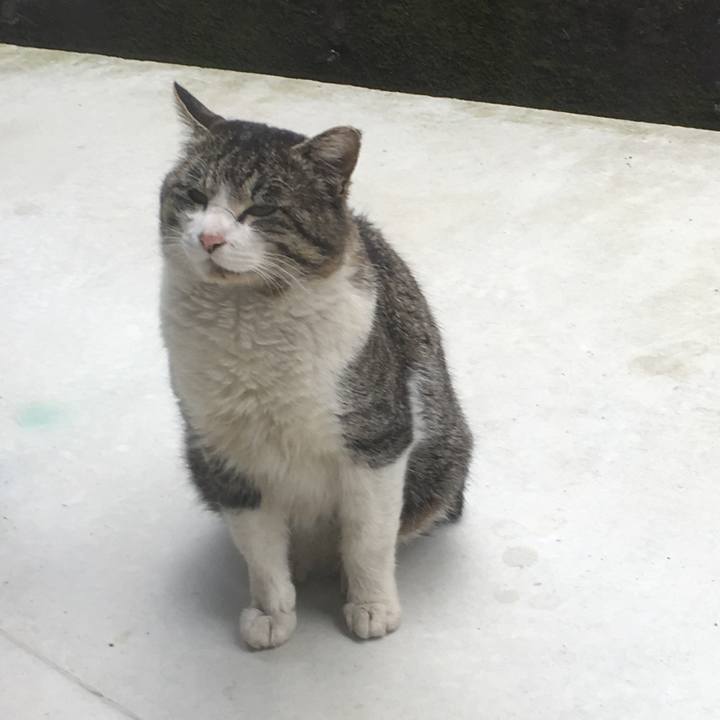 8b01da58 56c3 4ad7 94af 2bc5d850ed74