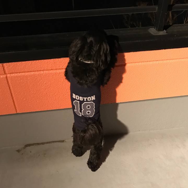 8b0214e2 a392 47bc a7ac 6b130e426b63