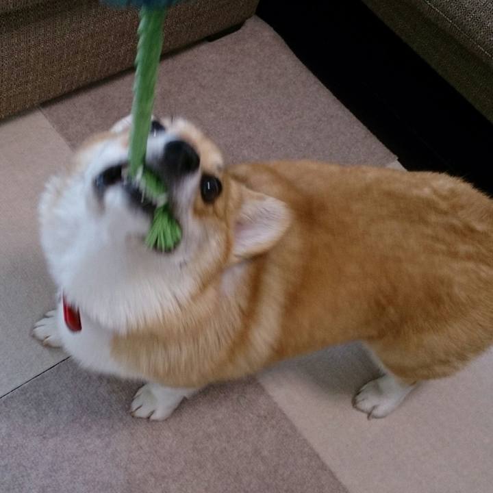 8b0232ab aba6 4c49 9116 aa8f961a1499