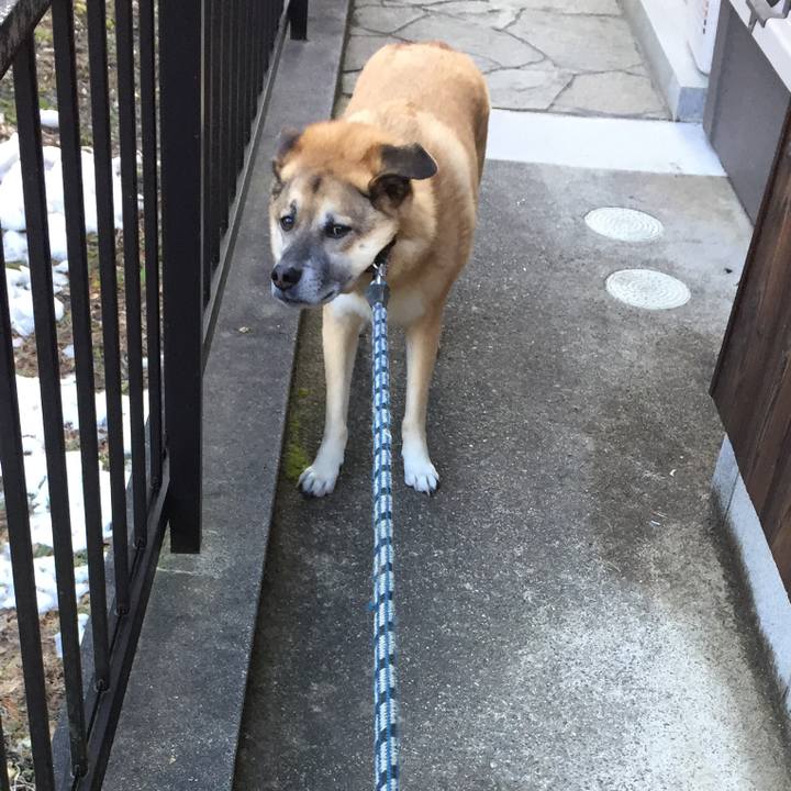 8b02f723 997d 4ffd b23e f7dcffe8f427