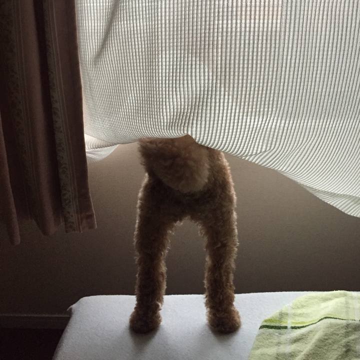 8b032f97 fbff 4c02 9ac6 5b1c9d2fcb28