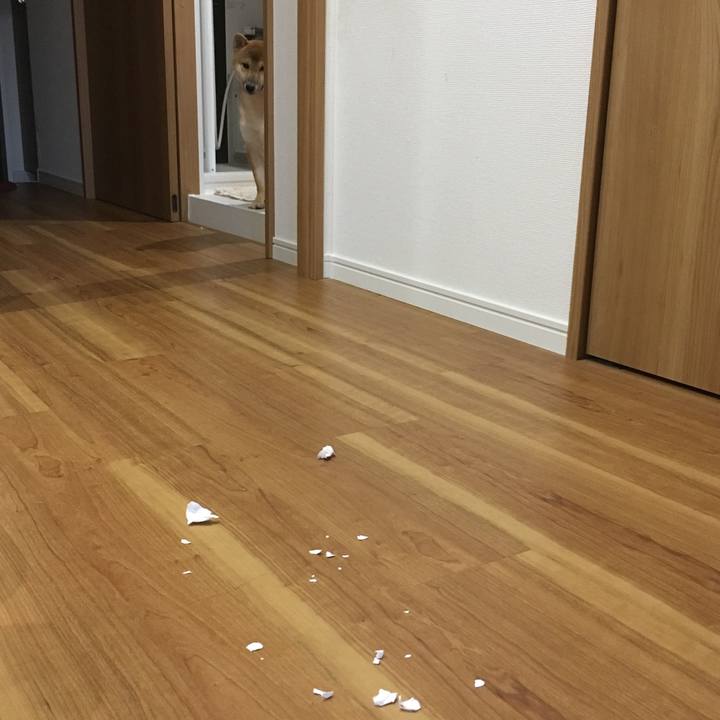 8b03bd9b e638 4f57 ab2c 1f0d4ae147ae