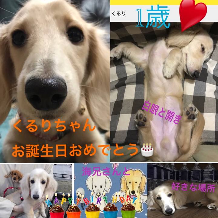 8b043ddc 2960 44f0 8d10 b2b7a8799bda