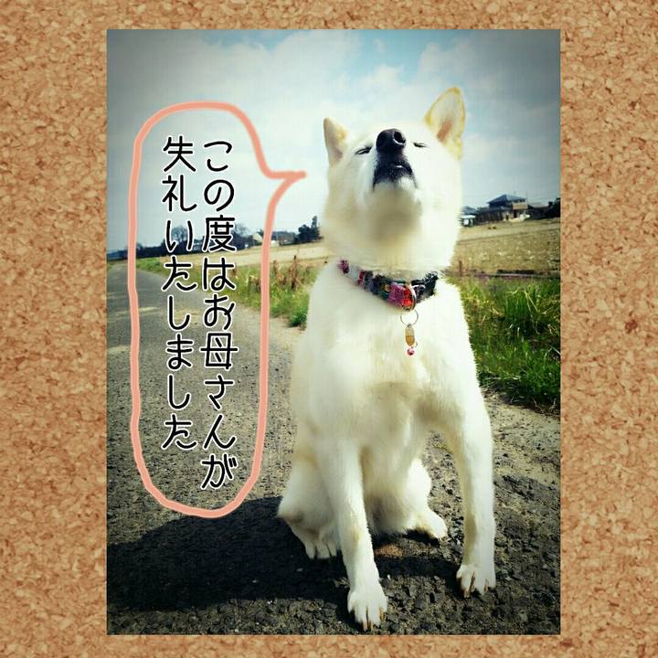 8b0451bb 683e 402c a5f9 d2e067d5d9e6