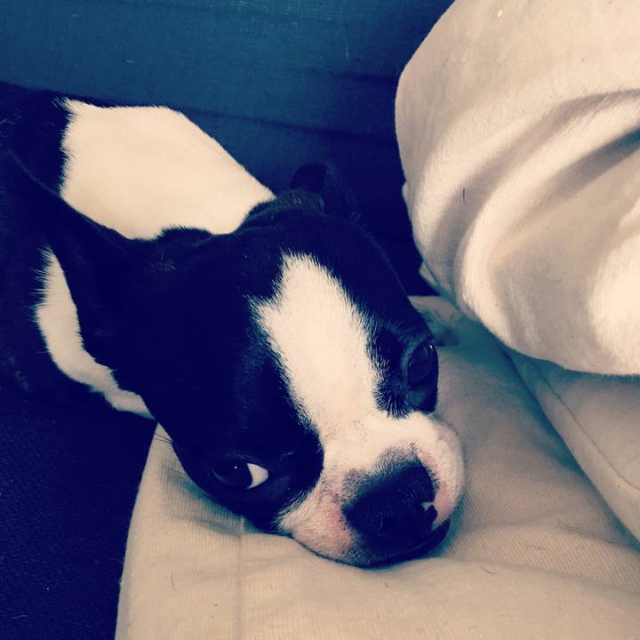 8b0457cc f11a 4550 a707 6b9a0995acbc