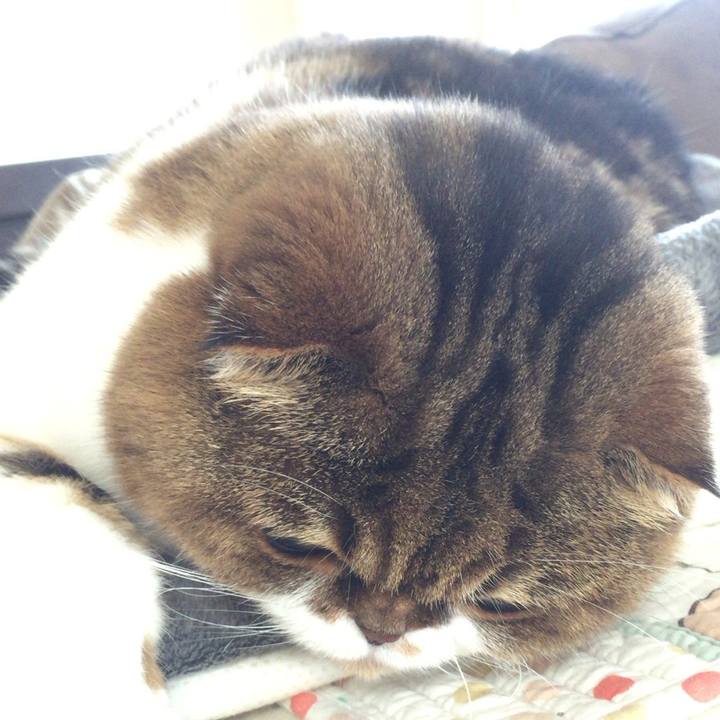 8b046f01 7e92 4cb3 8a20 d9ce3dff1570