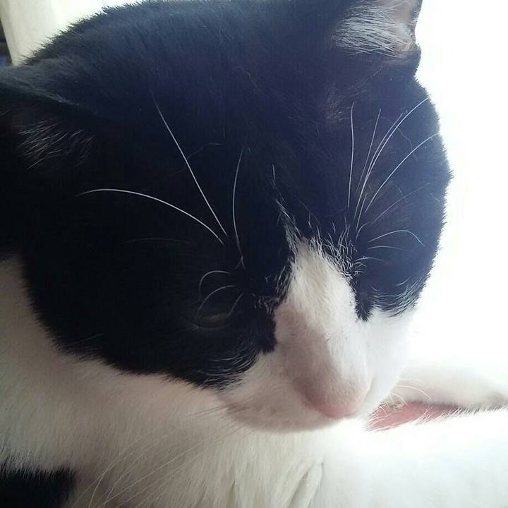 8b04da3c 7dd0 4062 8f5a ea2c52a6c0fb