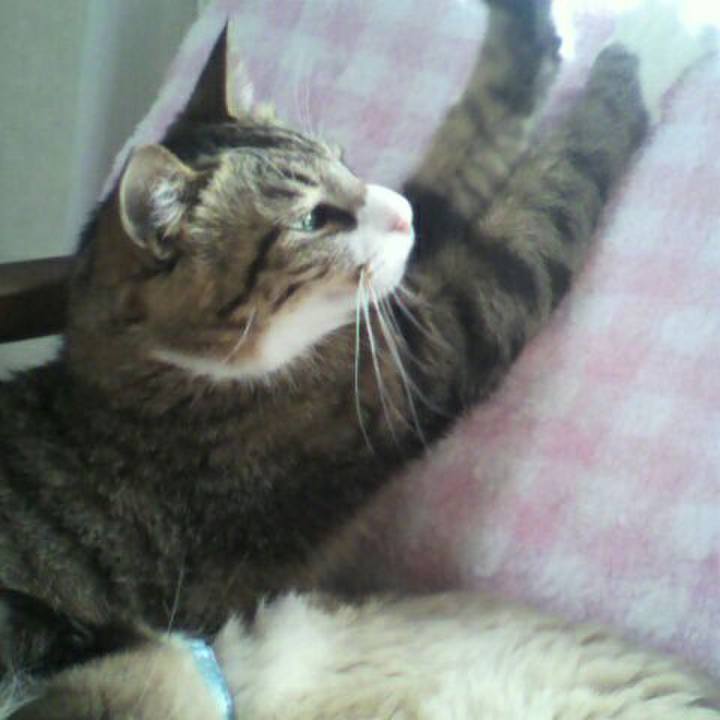 8b04e3d0 5e18 4fd6 860d 8890a5b4fd17