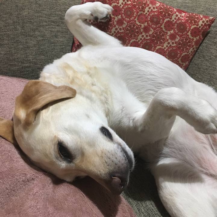 8b058e5d 2fe6 40f5 b673 b2381d05af5b