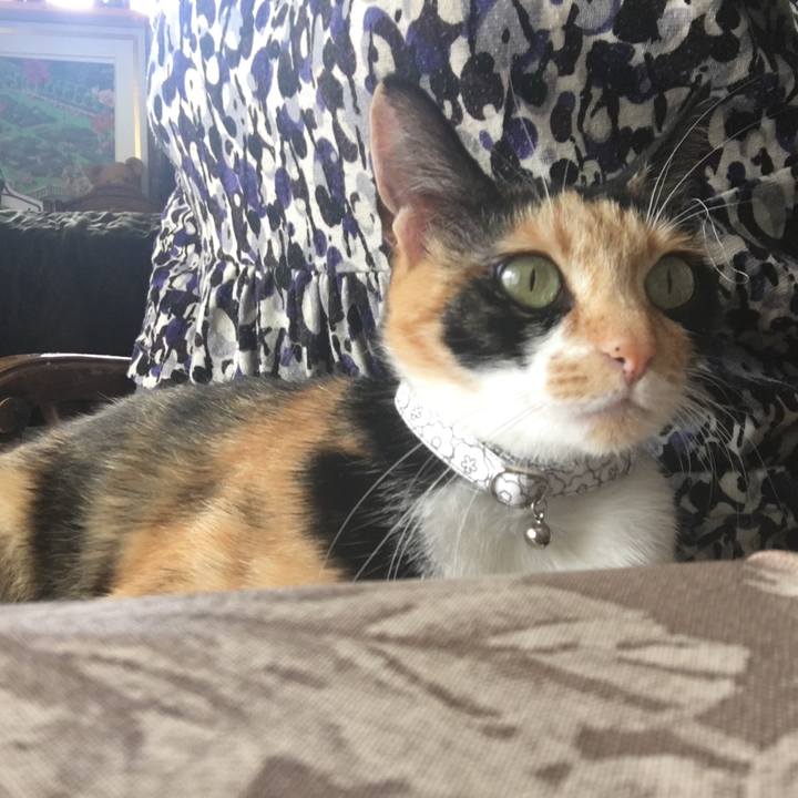 8b05ab05 5d38 4236 becb 6b260bd61823