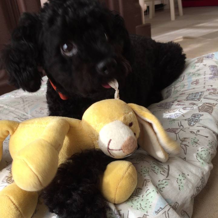 8b068169 88ff 4fb2 9a53 cc336a0e6795