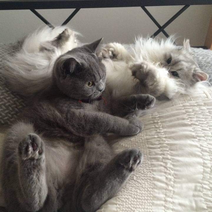 8b06c1a3 9cc2 4962 9c51 603877727b85