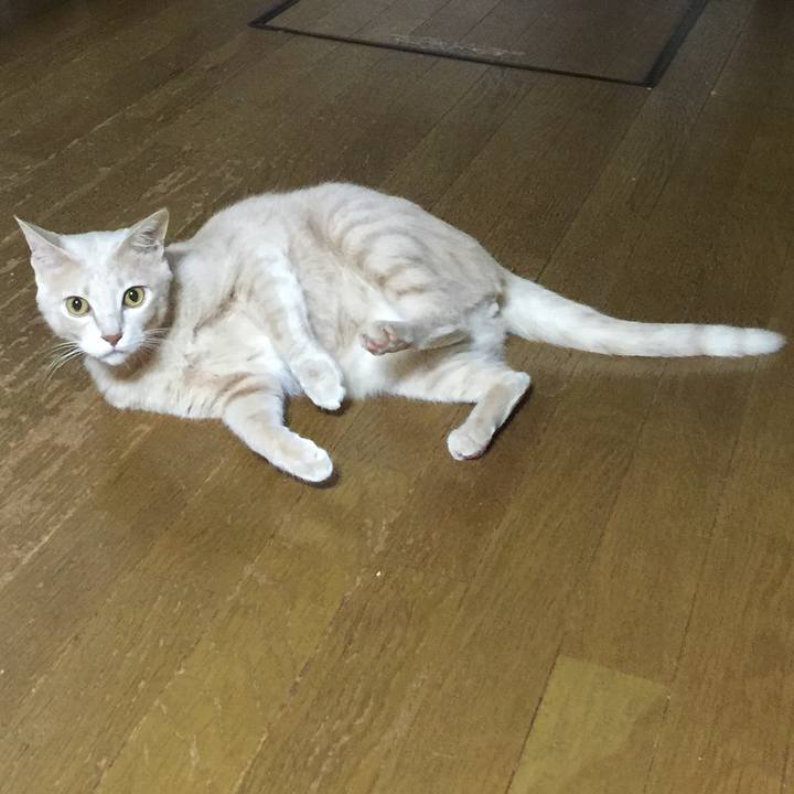 8b06ccbb 2e83 42bd 9526 0dec81b7520d