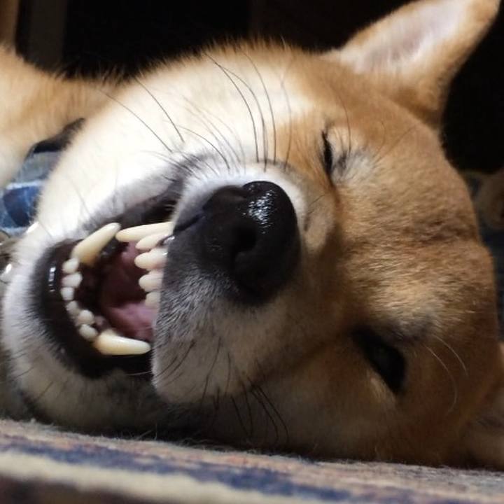 8b06ccc3 1b41 45df ae50 b18b7daf366a