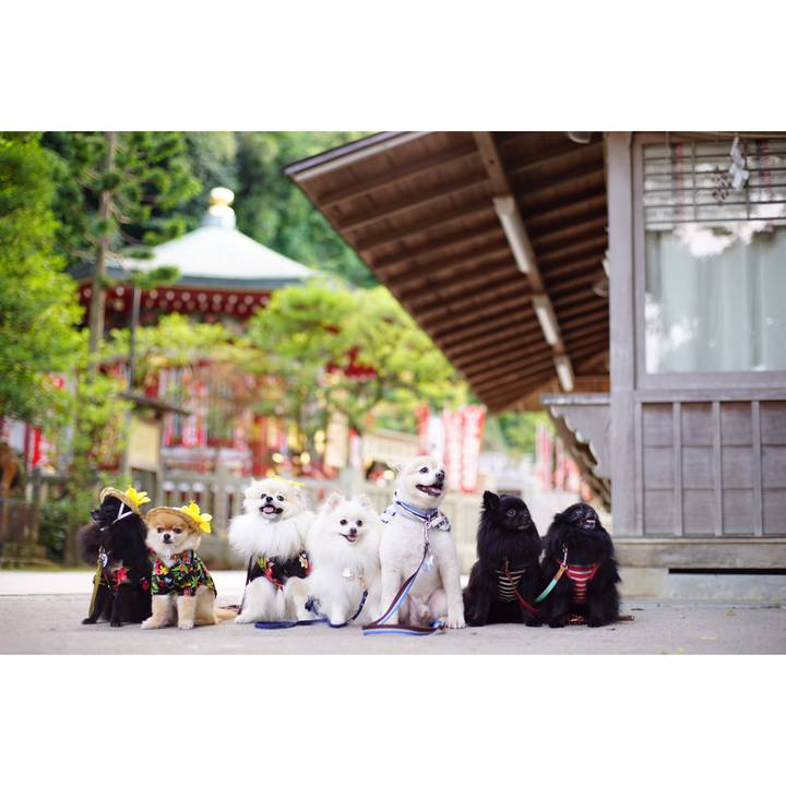 8b0717e9 99aa 43df b4d0 49b728e98592