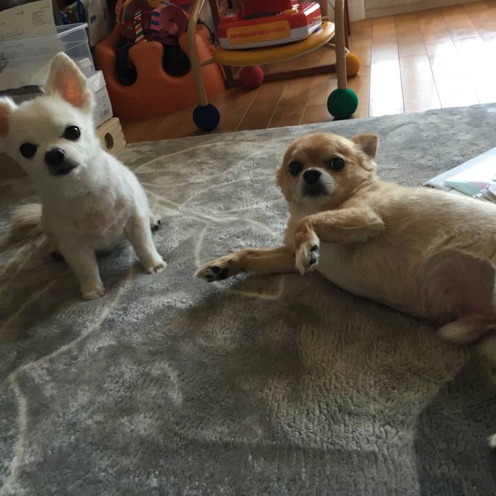 8b072adc 8138 4ce3 92d4 5be9f31fe564