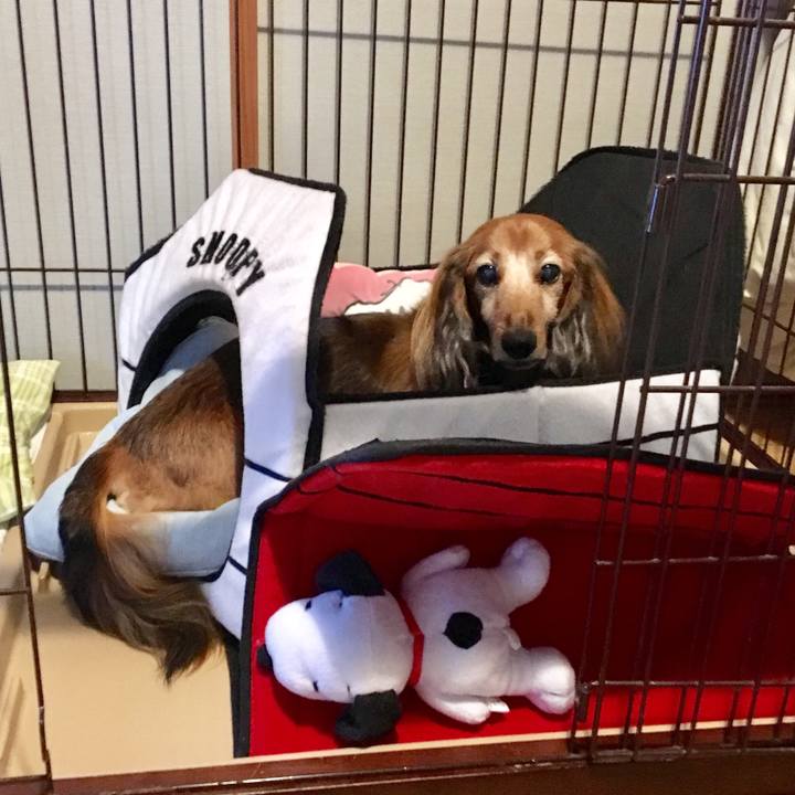 8b082a53 2248 4ca2 a042 0232378d5ffe