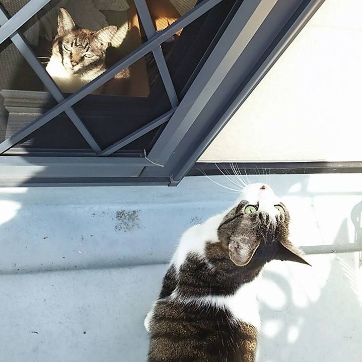 8b08358c 37b2 4200 bb22 b308d0a9b38c