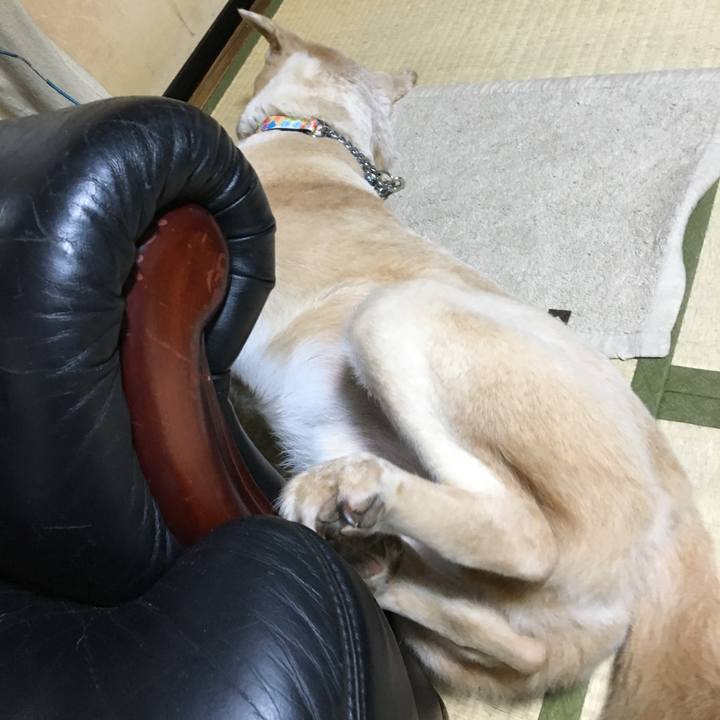 8b086062 b3f7 49bc 93a6 25255a1d8d29