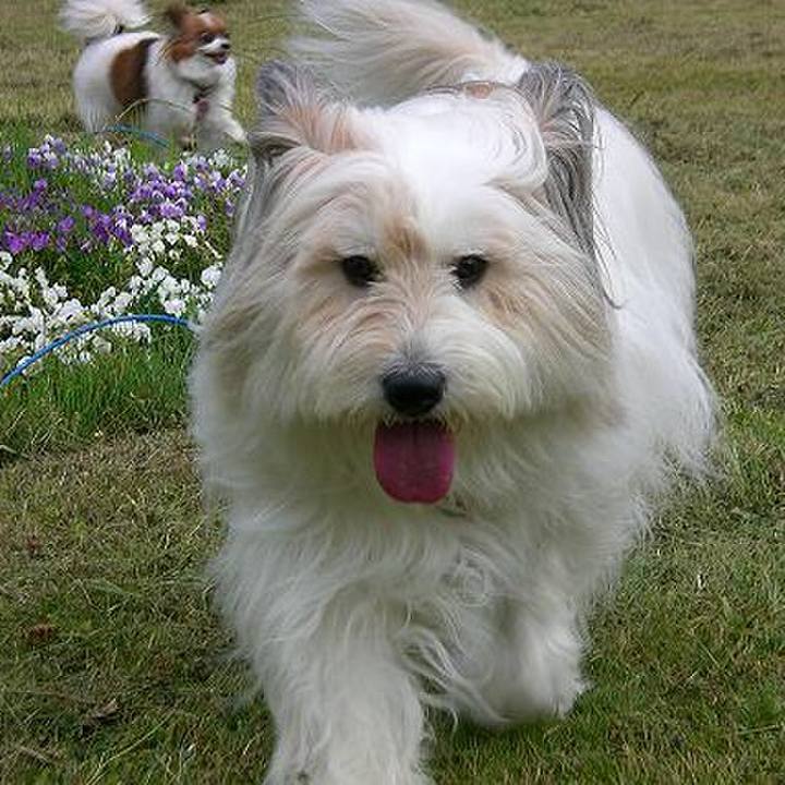 8b09286b 62ed 4f61 9998 3e8edbc61aec